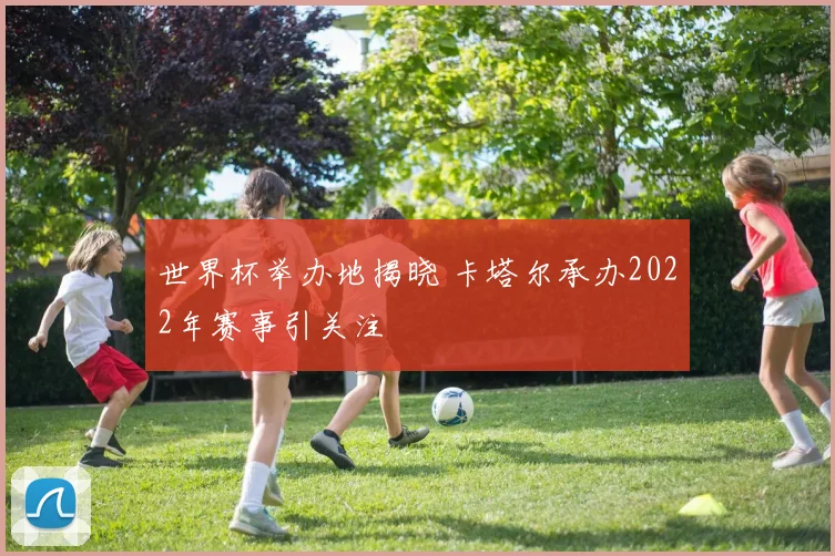 世界杯举办地揭晓 卡塔尔承办2022年赛事引关注
