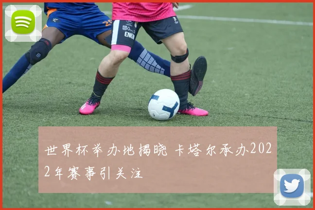 世界杯举办地揭晓 卡塔尔承办2022年赛事引关注
