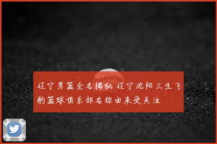 辽宁男篮全名揭秘 辽宁沈阳三生飞豹篮球俱乐部名称由来受关注