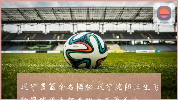 辽宁男篮全名揭秘 辽宁沈阳三生飞豹篮球俱乐部名称由来受关注